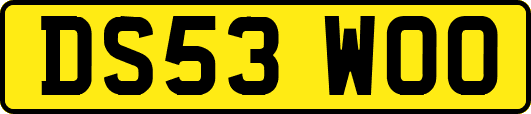 DS53WOO