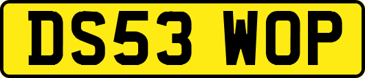 DS53WOP