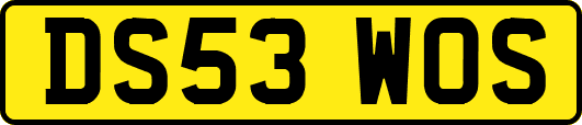 DS53WOS