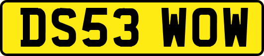DS53WOW