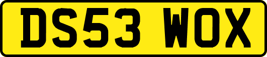 DS53WOX