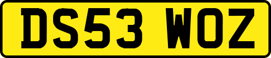 DS53WOZ