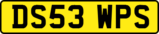 DS53WPS