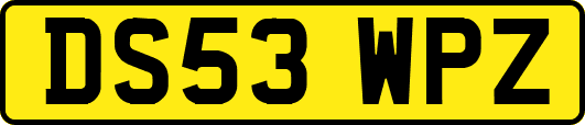 DS53WPZ
