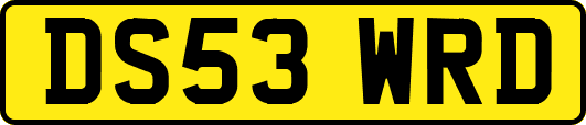 DS53WRD
