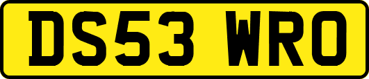 DS53WRO