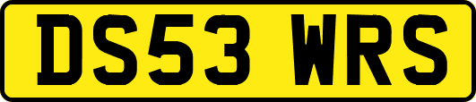 DS53WRS