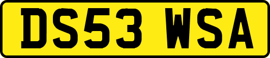 DS53WSA
