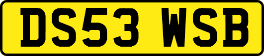 DS53WSB