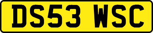 DS53WSC