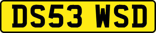 DS53WSD