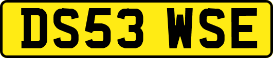 DS53WSE