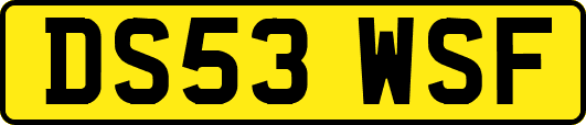 DS53WSF