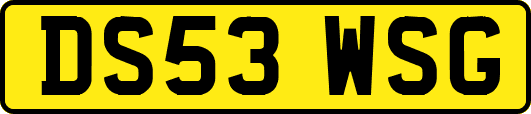 DS53WSG