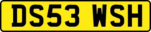 DS53WSH