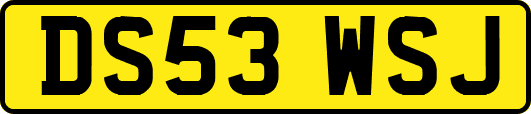 DS53WSJ