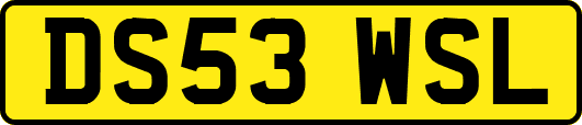 DS53WSL