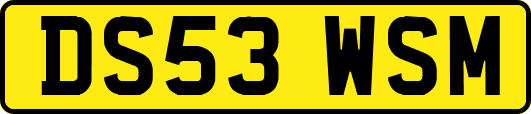 DS53WSM