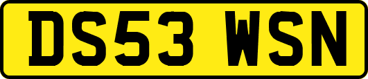 DS53WSN