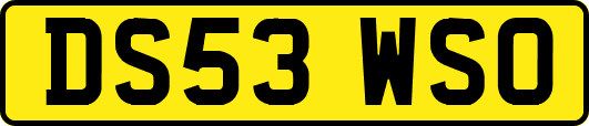 DS53WSO