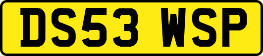 DS53WSP
