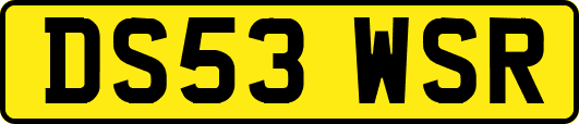DS53WSR