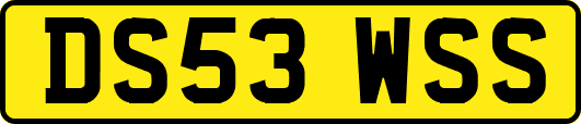 DS53WSS