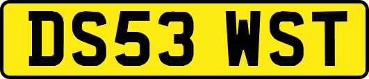 DS53WST