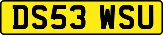 DS53WSU