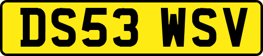 DS53WSV