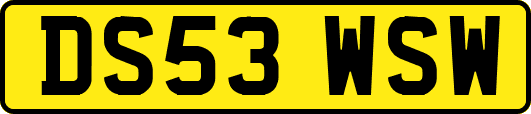 DS53WSW