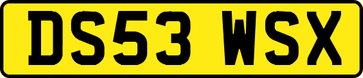 DS53WSX