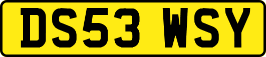 DS53WSY