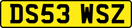 DS53WSZ