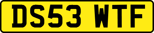 DS53WTF