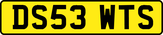 DS53WTS