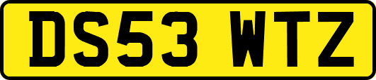 DS53WTZ