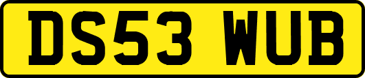 DS53WUB