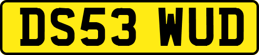 DS53WUD
