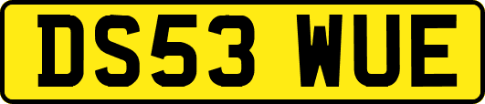 DS53WUE