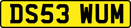 DS53WUM