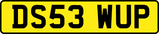 DS53WUP