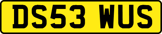 DS53WUS