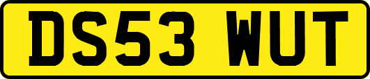 DS53WUT