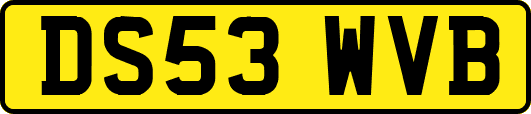 DS53WVB