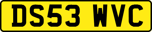 DS53WVC