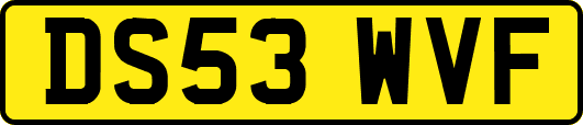 DS53WVF