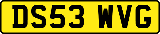 DS53WVG