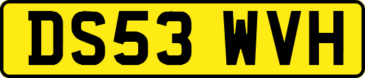 DS53WVH