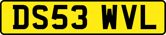 DS53WVL
